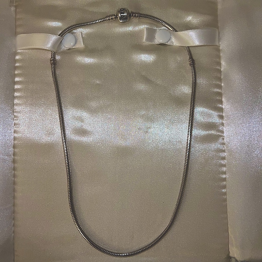 Pandora moments snake chain necklace
